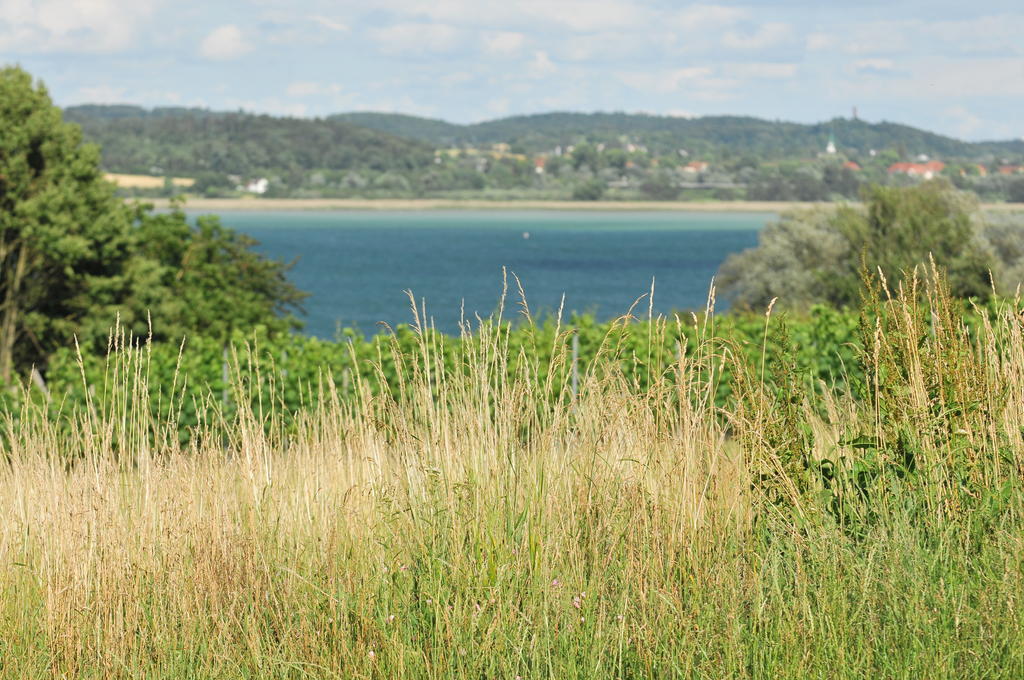 Hotel Mein Inselglueck Reichenau Exteriér fotografie